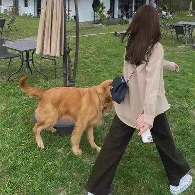 慌途
